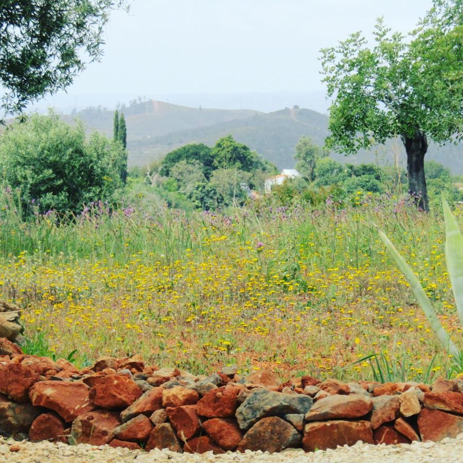 Quinta Das Piteiras-Turismo Rural Silves Exteriér fotografie