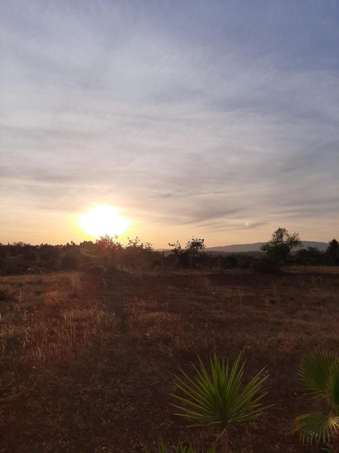 Quinta Das Piteiras-Turismo Rural Silves Exteriér fotografie